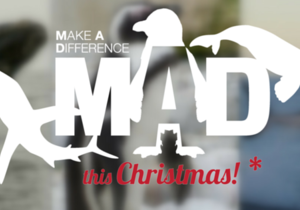 Make A Difference This Christmas